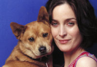 Carrie-Anne Moss - USA Today 2001